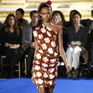 Платья в клетку – самые модные модели Осень-Зима 2011-2012